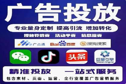 某企业SEM广告投放的ROI提升策略及效果展示
